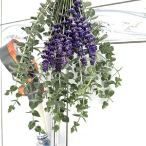 Natural Eucalyptus-Lavender Shower Bundle